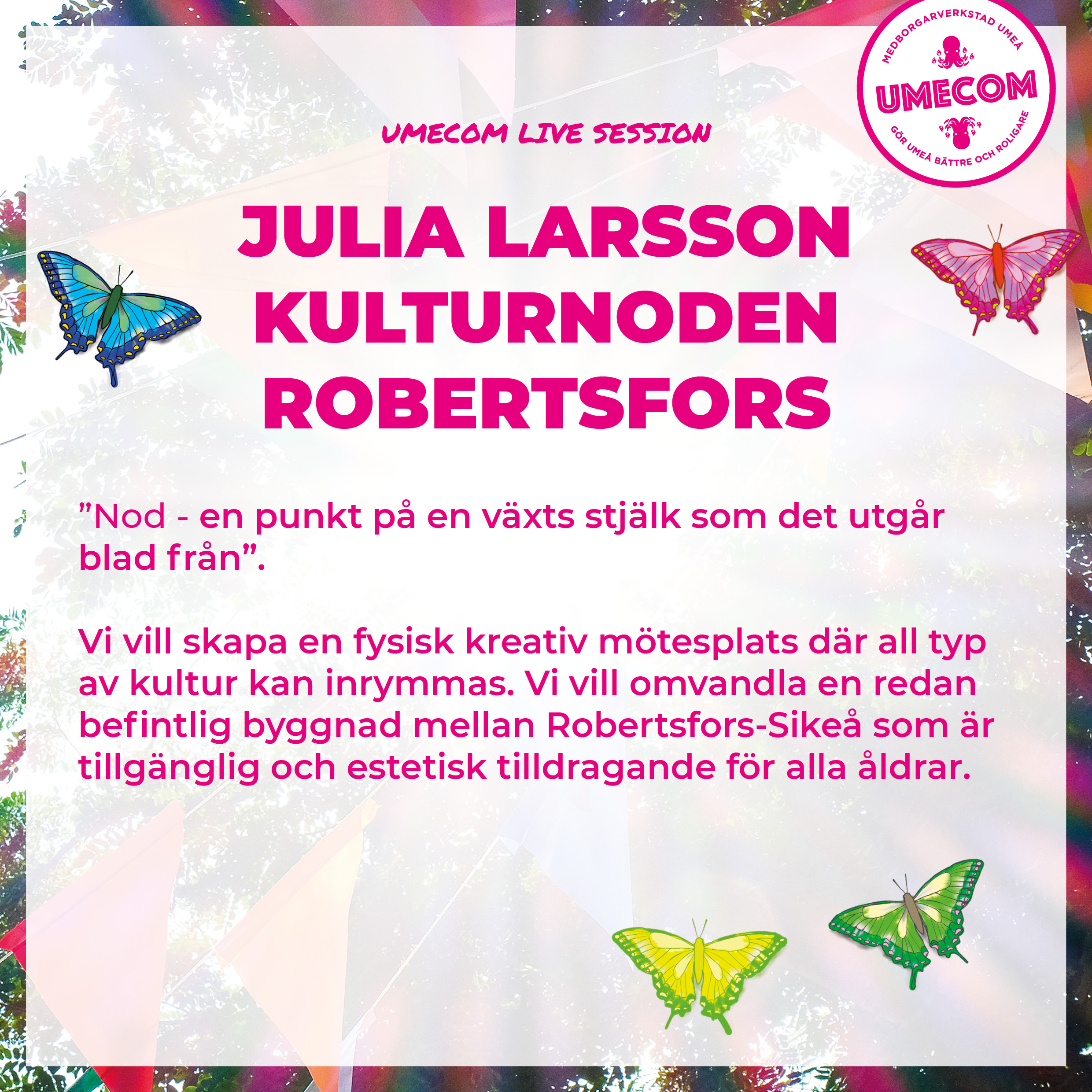 Julia Larsson
